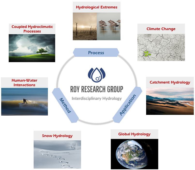 Roy Research Group Research Areas